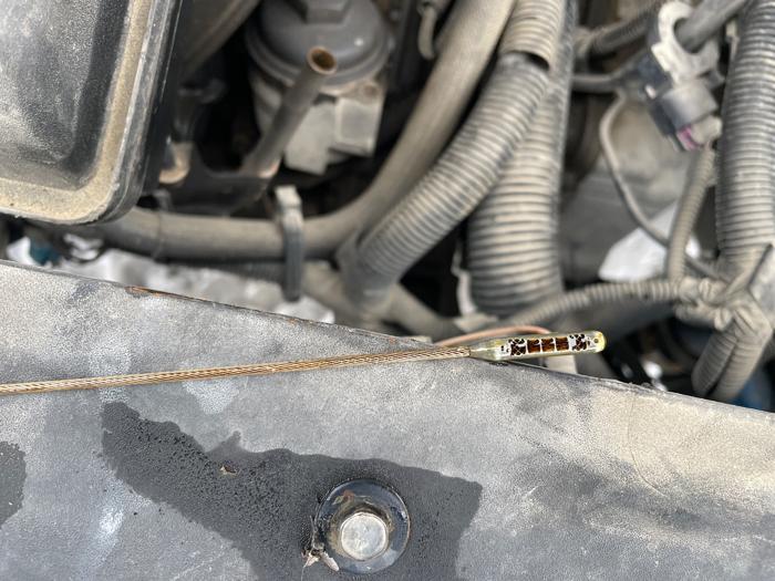 2010 chevrolet malibu ls with 209210 miles for sale near rochester, minnesota 8d81b40aa5564a67ae87338bd6179bb9.jpeg