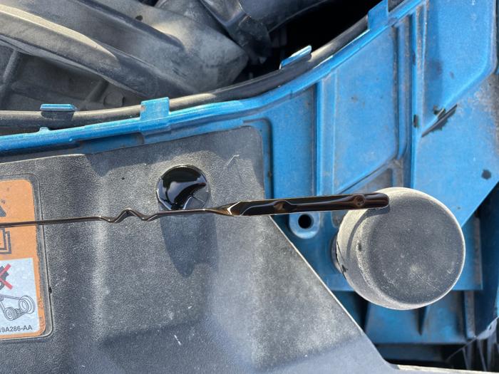 2014 ford focus se-sedan with 153546 miles for sale near rochester, minnesota 8e8117b7f487436a917ee55c3aac2ad2.jpeg