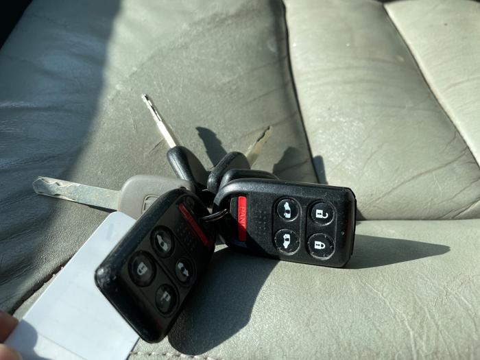 2006 honda odyssey ex-l with 246584 miles for sale near elk-river, minnesota 8f7354a576e040b7a60f97a34c5f467c.jpeg