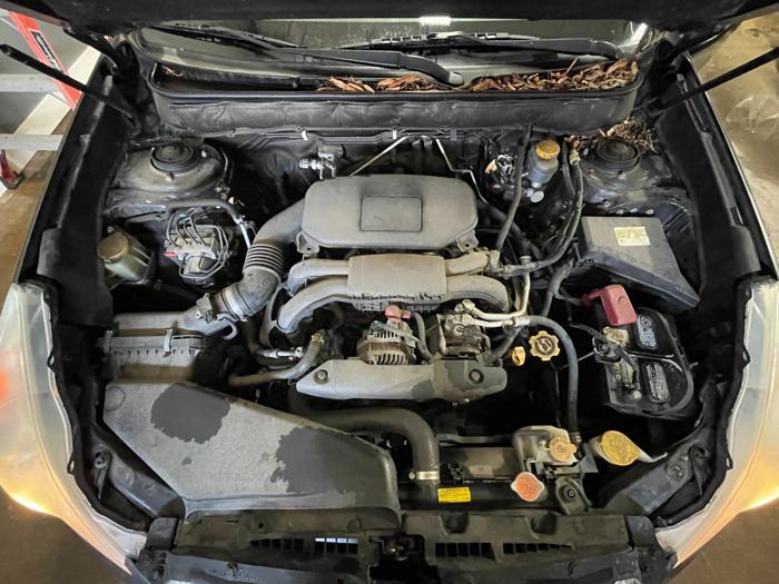 2012 subaru outback premium with 199229 miles for sale near elk-river, minnesota 8f8e908ec2d94f84a7c10738ddb93924.jpg