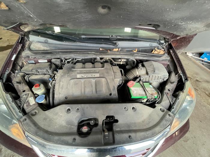 2008 honda odyssey ex-l with 233242 miles for sale near elk-river, minnesota 8fe25a44ab2841a4b6bec78c552b338e.jpeg