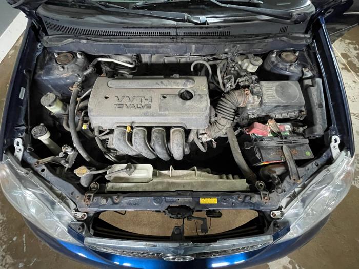 2006 Toyota Corolla