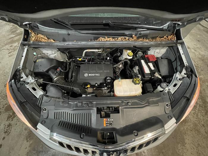 2016 buick encore base-awd with 66014 miles for sale near elk-river, minnesota 90df6f660fea466fa681eb37d8306ea5.jpeg