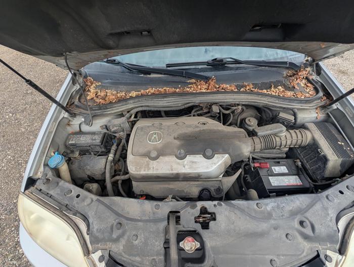 2003 acura mdx touring with 248789 miles for sale near elk-river, minnesota 910b22953b384c548929cff7bc697755.jpg