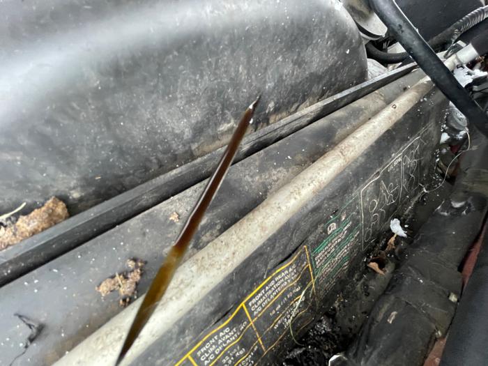 2005 ford explorer xlt-4.6l-4wd with 133843 miles for sale near elk-river, minnesota 9366bd2217a749a3b1c0c06ae356273b.jpeg