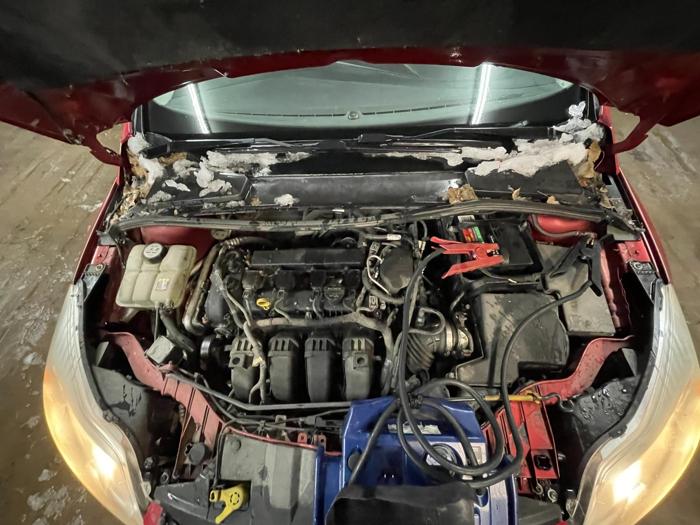 2012 ford focus se with 208687 miles for sale near elk-river, minnesota 93bec333914c484097dc70b6eae57b88.jpg