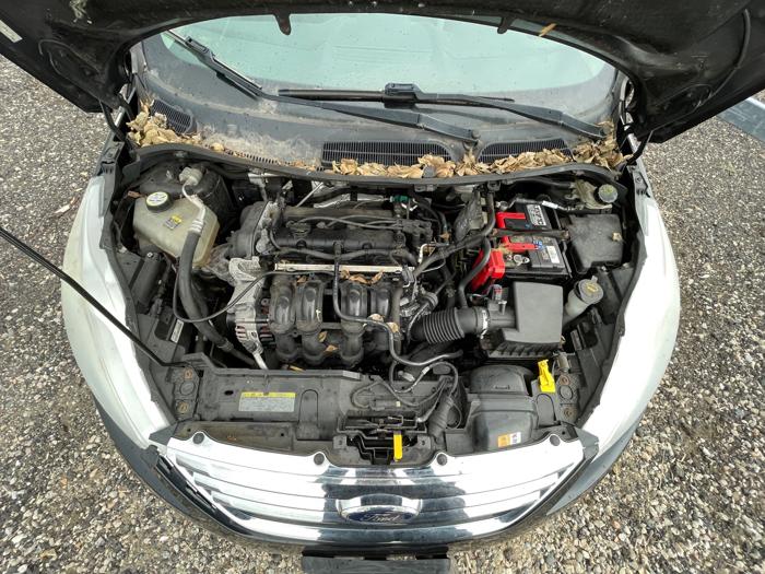 2011 ford fiesta se-sedan with 149024 miles for sale near elk-river, minnesota 970c0a772b754c5f9489009827596236.jpeg