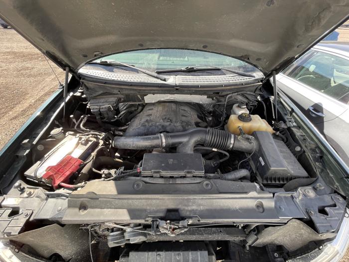 2012 ford f-150 fx4-supercrew-5.5-ft.-bed-4wd with 135213 miles for sale near elk-river, minnesota 99813d382cf84e28a2b4bb4d68a3f34b.jpeg