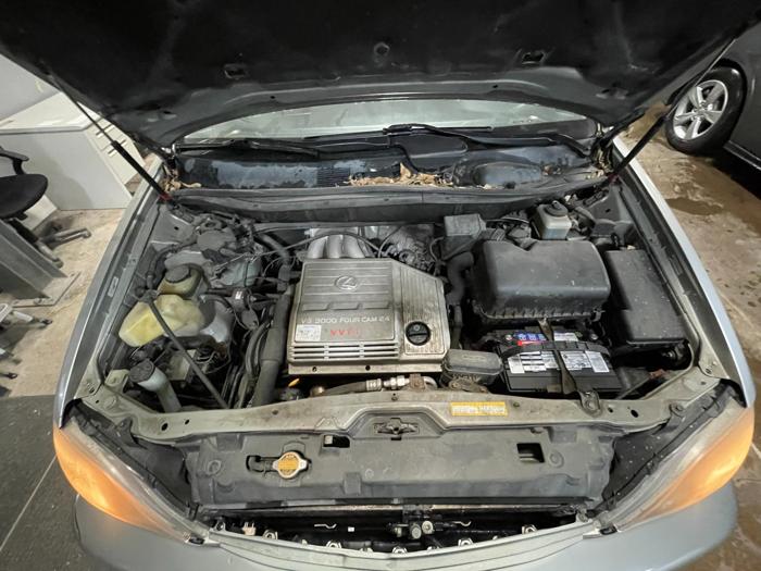 1999 lexus rx 300 with 184877 miles for sale near elk-river, minnesota 99fc256f7ec742cc942458b0b2594383.jpg