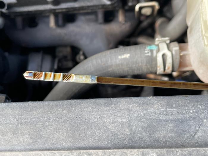 2015 buick encore convenience-awd with 124534 miles for sale near elk-river, minnesota 9c5e2b6b5c184b2cb56f769a39c6502a.jpeg