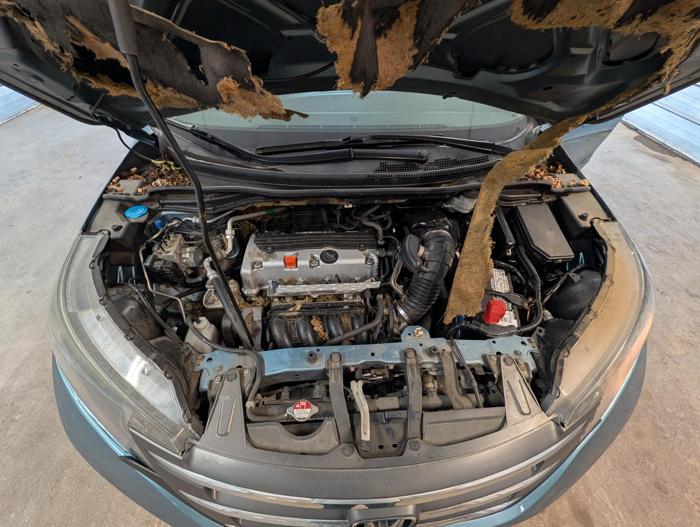 2014 honda cr-v with 83992 miles for sale near elk-river, minnesota 9d8b893b7dc44c4f98651227c5351cb4.jpg