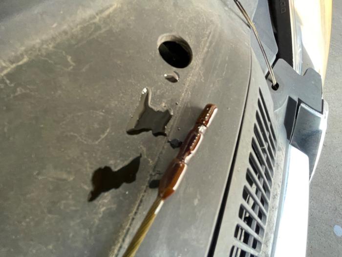 2005 volkswagen jetta 2.5l with 135969 miles for sale near elk-river, minnesota 9d9e9b7a02c64f5db69435ce8a94f3bc.jpeg