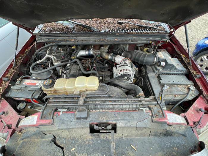 1999 ford f-250-sd xl-supercab-swb-2wd with 278395 miles for sale near elk-river, minnesota 9fa6447ef3f240f2a5e418a5412c8588.jpg