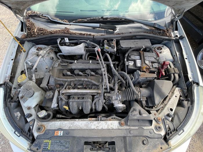 2009 ford focus s-sedan with 120973 miles for sale near elk-river, minnesota a08092e4e253405bbb6b629c2d5d6df5.jpeg