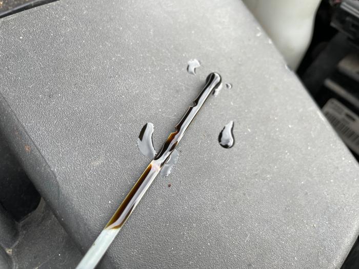 2011 ford fiesta se-sedan with 149024 miles for sale near elk-river, minnesota a0b43d413a0a4779809e6321e8889d06.jpeg