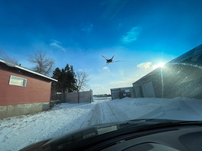 2011 acura mdx 6-speed with 206071 miles for sale near elk-river, minnesota a0eed0b7be6a48089b7b4702c5b8f498.jpeg