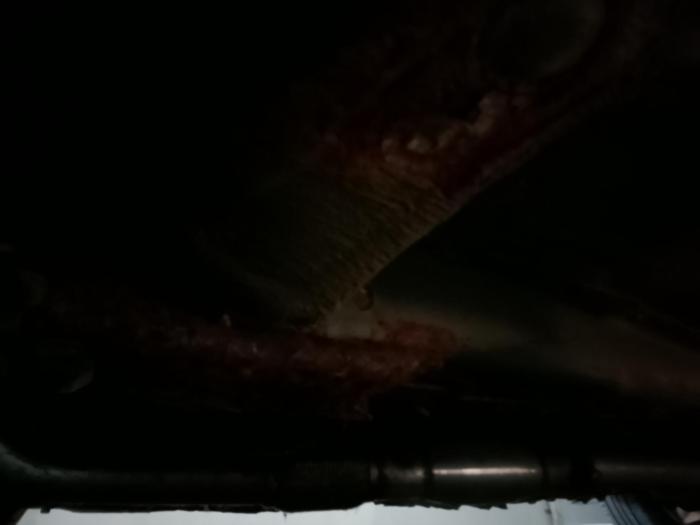 2003 subaru impreza wrx with 247746 miles for sale near elk-river, minnesota a17d2710446a46f9bf61899f41ab0194.jpg