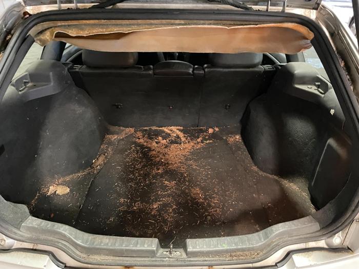 2001 volvo v40 with 184716 miles for sale near elk-river, minnesota a3cd698bfece45e2ac619c22288fc4a3.jpg