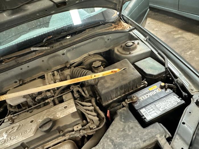 2005 hyundai accent gls-4-door with 54878 miles for sale near elk-river, minnesota a556ba3ab47f4761a4ecaad52ac52161.jpeg