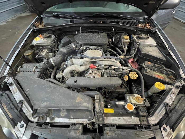 2009 subaru outback limited with 246064 miles for sale near elk-river, minnesota ab63b75155a9445595d705324a906b1e.jpg