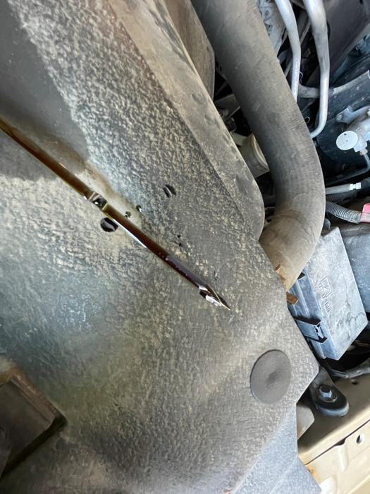 2011 ram 1500 sport-quad-cab-4wd with 194141 miles for sale near elk-river, minnesota acb8b2336f1c42518e9e13511e50e501.jpeg