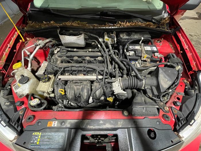 2008 Ford Focus