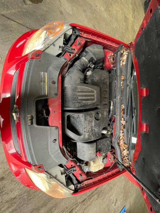 2010 chevrolet cobalt lt2-sedan with 114677 miles for sale near elk-river, minnesota af43de11ae3049ac927fc86c3449cc51.jpeg