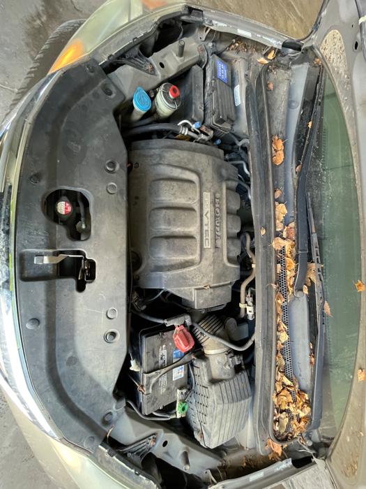 2009 honda odyssey lx with 154366 miles for sale near elk-river, minnesota b0f93708ad93447bb78ca1203d38d310.jpeg