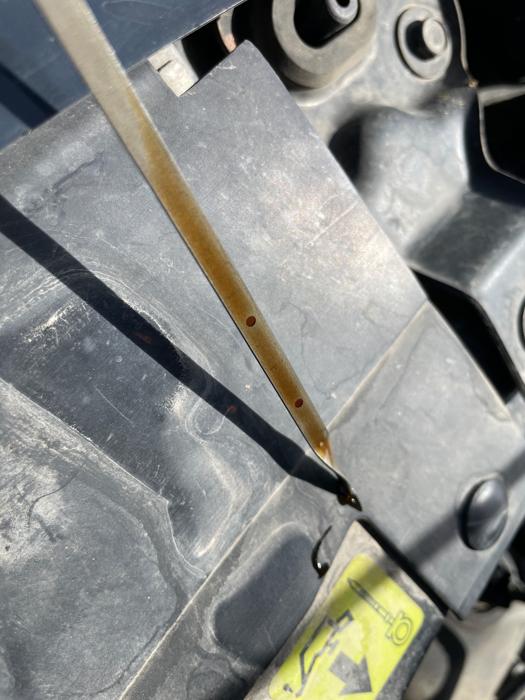 2010 ford escape limited-4wd with 77558 miles for sale near alexandria, minnesota b35df8d7cbba4de18b9f44143d0dffb8.jpeg