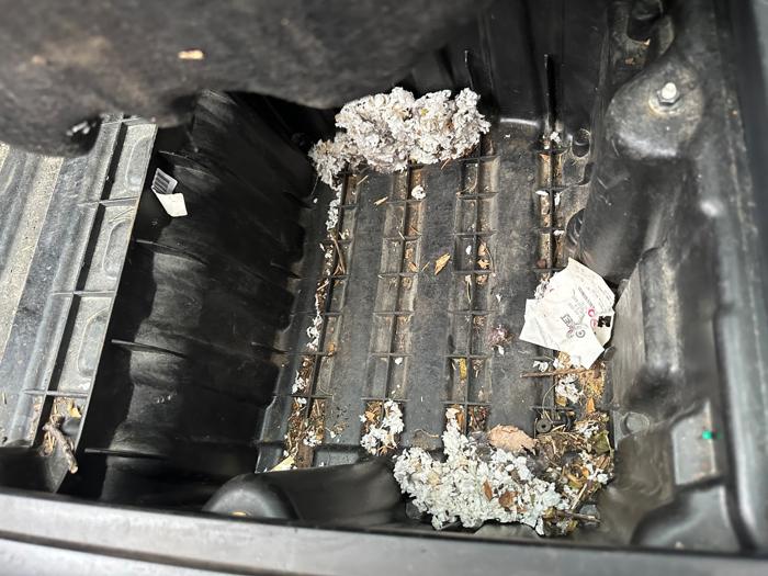 2007 bmw 3-series-sport-wagon 328xi with 164488 miles for sale near elk-river, minnesota b462e1a180024fad94f09e291bcc3e0e.jpeg