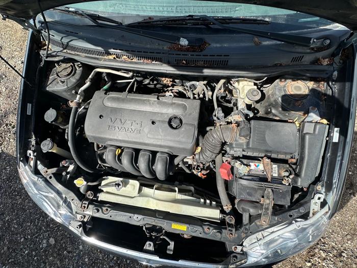 2006 toyota corolla ce with 242938 miles for sale near elk-river, minnesota b94d8fa303524dcda0f79567a878f0c8.jpeg