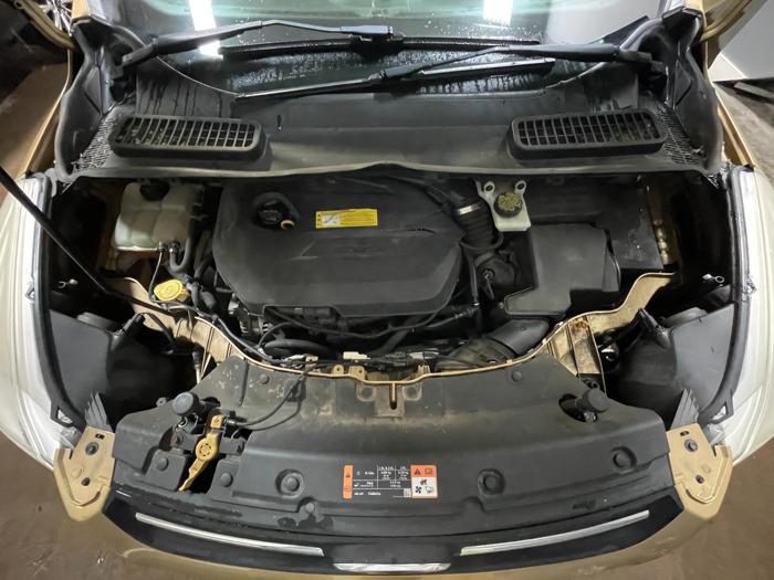 2014 ford escape se-4wd with 93529 miles for sale near elk-river, minnesota b9fe4c7d70194c888865c065c757b6e4.jpg