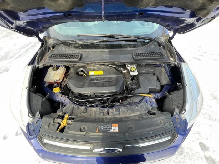 2016 ford escape se-fwd with 105085 miles for sale near elk-river, minnesota badfb68172984cf89f8cf25b6e92de05.jpeg