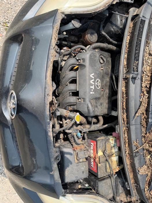 2009 toyota yaris liftback-3-door-at with 150586 miles for sale near elk-river, minnesota baf39f1238714a9f939bf67546753fc7.jpeg