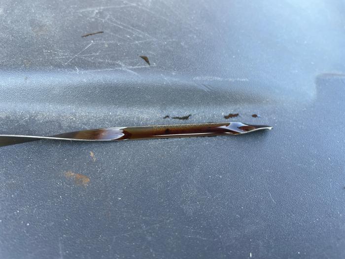 2015 chevrolet silverado-1500 lt-crew-cab-4wd with 273116 miles for sale near fridley, minnesota bf0fd4d6901e4f33806b3e34e981a272.jpeg