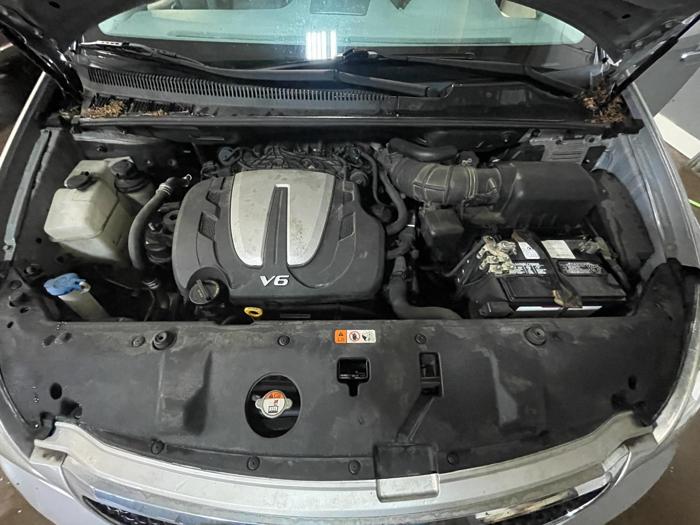 2014 Kia Sedona