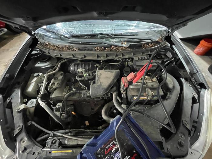 2010 nissan rogue with 160215 miles for sale near elk-river, minnesota c0207cfdc08446e589b5172b5d6bd20e.jpg