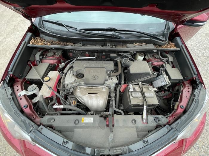 2018 toyota rav4 xle-awd with 22940 miles for sale near elk-river, minnesota c22022872c354e31a842f3a7fa811bad.jpeg