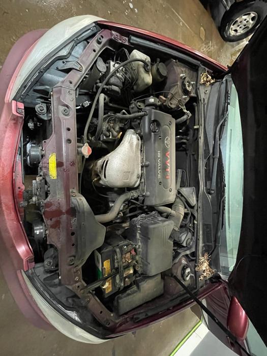 2002 toyota camry se with 271073 miles for sale near elk-river, minnesota c306e12308fc445b98f5dcad5a0bc5ab.jpg