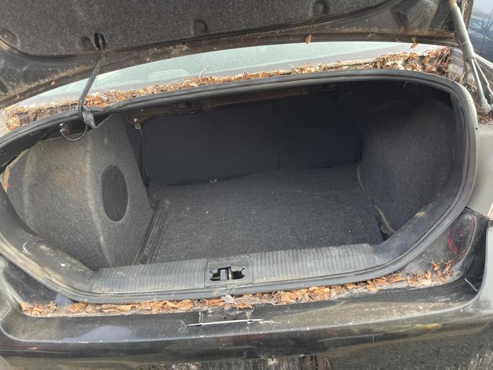 2010 ford focus sel with 186169 miles for sale near elk-river, minnesota c8cae74a6f234527aeb12308e8fd8e4a.jpg