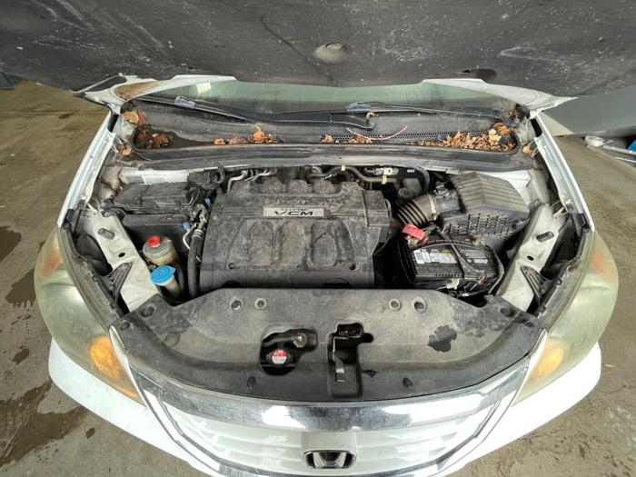 2010 honda odyssey ex-l with 207059 miles for sale near elk-river, minnesota c8ec38e75eb94d069a7389cde3516a09.jpeg