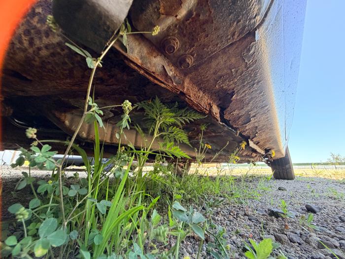 1999 ford escort lx with 115045 miles for sale near elk-river, minnesota c9356c2729294c74a1ff2a8e13586311.jpeg