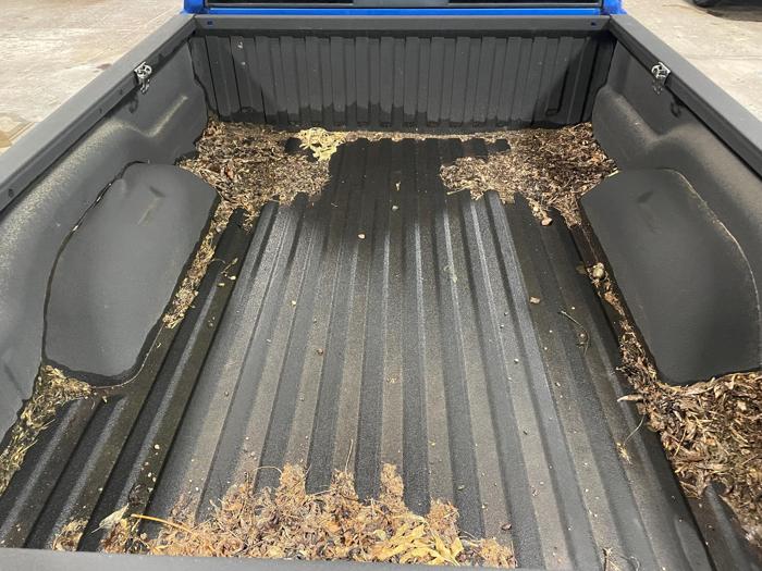 2007 Dodge Dakota
