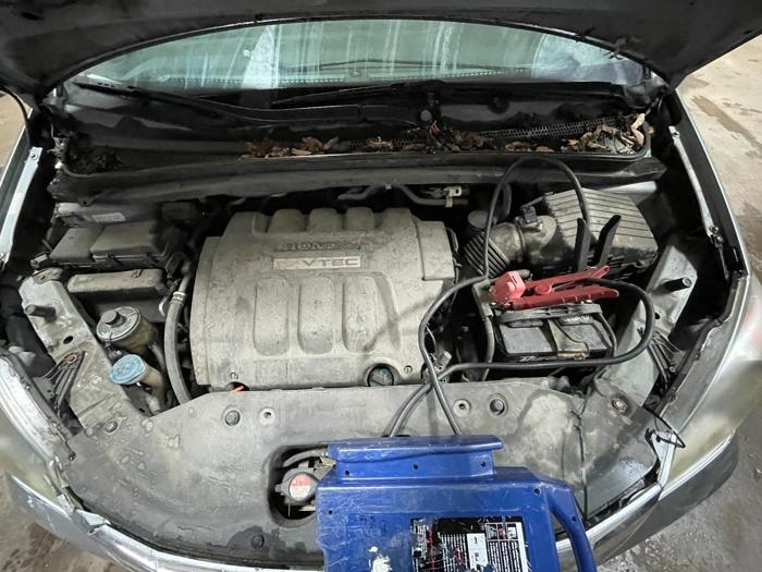 2009 honda odyssey ex with 193114 miles for sale near elk-river, minnesota cb6cb021a2aa4cbeaac8b80bc97f1207.jpg