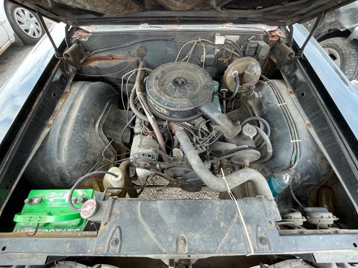 1965 buick skylark for sale near elk-river, minnesota cb88a5329eba4755aa9723707c9040b4.jpeg