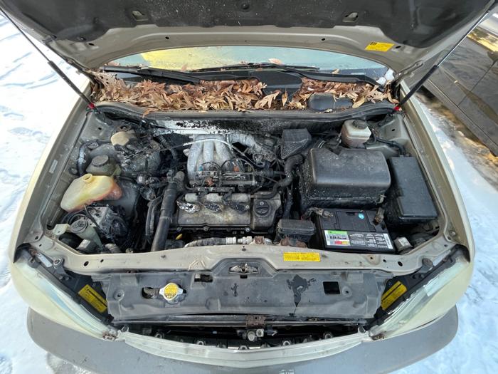 2002 lexus rx-300 2wd with 244285 miles for sale near elk-river, minnesota cc328ad1bd2c49d0893c69727c48a37f.jpeg