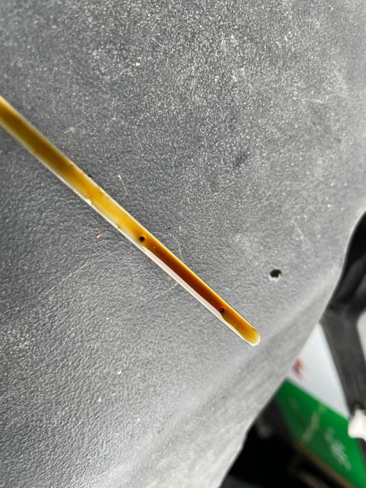 2006 toyota sienna xle with 197585 miles for sale near elk-river, minnesota ce3dc0bdada443999d01709f52c743b2.jpeg