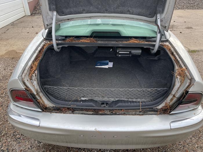 2003 buick park-avenue sedan with 149123 miles for sale near elk-river, minnesota cf32032a17b3498fbd7f78e6b9c59f1b.jpeg