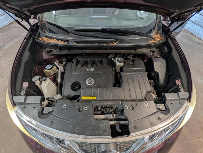 2013 nissan murano sl-awd with 99059 miles for sale near elk-river, minnesota cfdba7c2885d406f894762f987a08db5.jpg