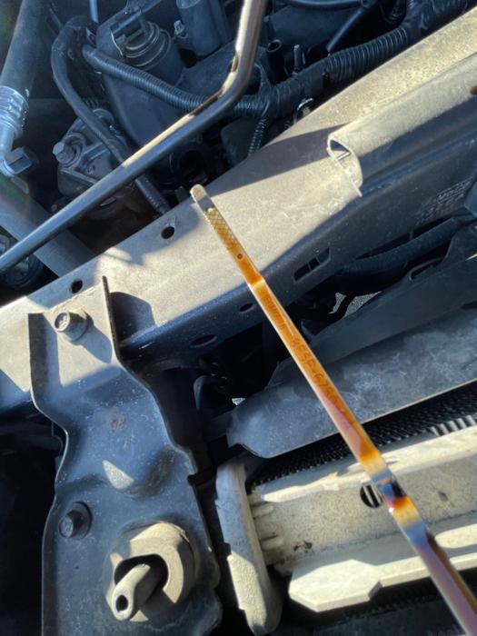 2012 ford escape with 196662 miles for sale near elk-river, minnesota d170c78700f44d50a08f605d83557587.jpeg